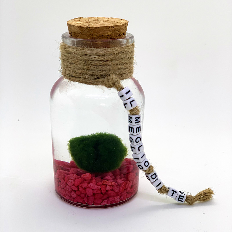 miniacquarioregalo1