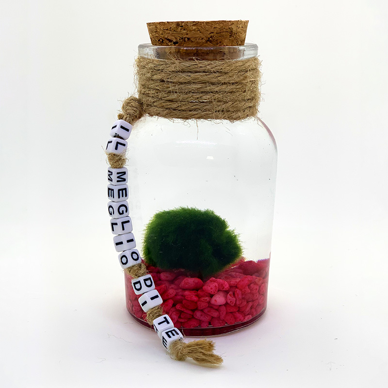 miniacquarioregalo2